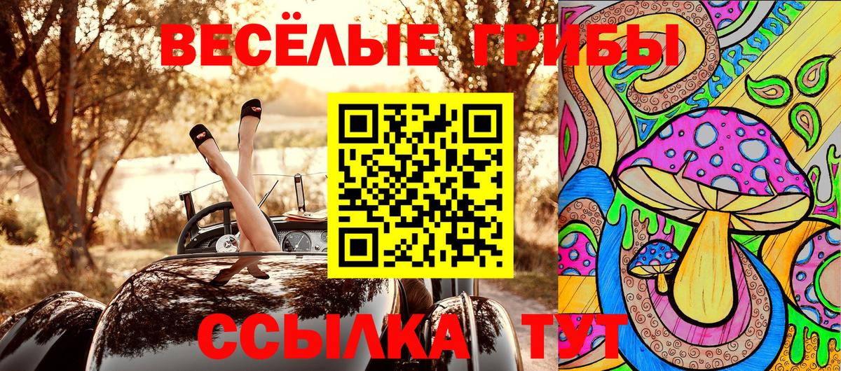 Псилоцибиновые грибы Magic Shrooms  Вход с VPN  где купить наркотик  Псилоцибиновые грибы мухоморы  Жигулёвск 