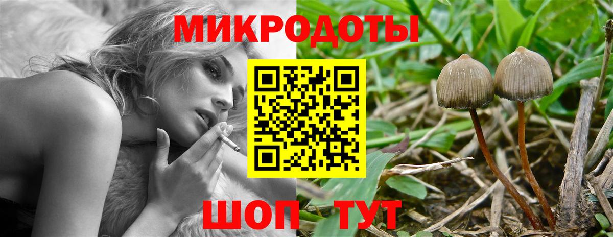 Псилоцибиновые грибы MAGIC MUSHROOMS Жигулёвск